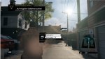 WD2.jpg