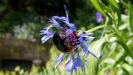 DSC03750.jpg