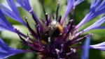 DSC03773.jpg