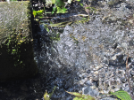 the_strange_and_perfect_water_by_drwakey-d7jbchi.png