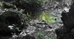seelenquell_by_drwakey-d7jefrr.png