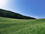 picknick_in_the_meadows_by_drwakey-d7jg9cr.png