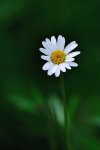 DSC_2419.jpg