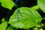 DSC_2430.jpg