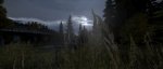 DayZ.jpg