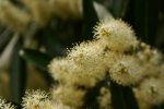 DSC06550_900.jpg