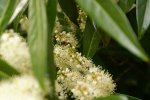 DSC06551_900.jpg
