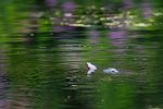 DSC_5399.jpg