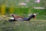DSC_5491.jpg