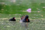 DSC_5496.jpg