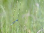 DSC_2577.jpg