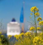 Hafencity-065k.jpg