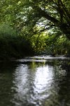 IMG_1689 kleiner.jpg