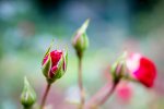 IMG_3451.jpg