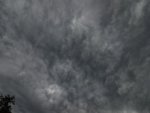 DSC00810 - Kopie.JPG