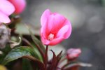FlyPic (10).jpg