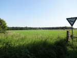 Feld2.jpg