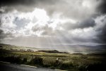 _DSC0209.jpg