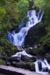 _DSC0308.jpg