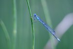 DSC_5671.jpg