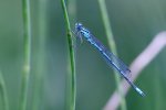 DSC_5675.jpg