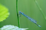 DSC_5689.jpg