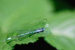 DSC_5696.jpg