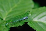 DSC_5701.jpg
