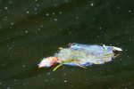 DSC_5766.jpg