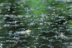 DSC_5768.jpg