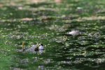DSC_5775.jpg