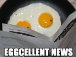 Eggcellent.+Cracks+me+up_4679da_4640747.jpg