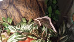 ForumRunner_20140621_093335.png