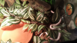 ForumRunner_20140621_093401.png