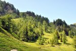 DSC_0133.JPG