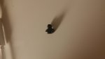 20140623_001902.jpg