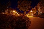 IMGP0352.jpg