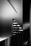 COL_4769-Bearbeitet.jpg