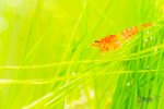 BF0_4843.jpg
