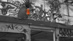 Tröten - CK 1-DSLR.jpg