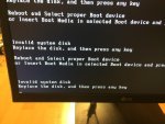 10490163_10204456806926512_731624145_n.jpg