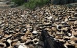 crysis_texturpack_cryengine_2-Bilder__1_.jpg