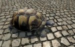 crysis_texturpack_cryengine_2-Bilder__4_.jpg