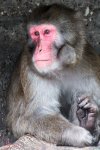COL_5355-Bearbeitet.jpg