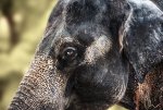 COL_5389-Bearbeitet.jpg