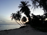 ForumRunner_20140709_205348.png