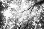 DSCF4572-Bearbeitet.jpg