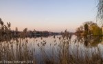 PK5_3271-3.jpg