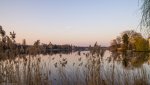 PK5_3271.jpg