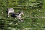 DSC_5842.jpg